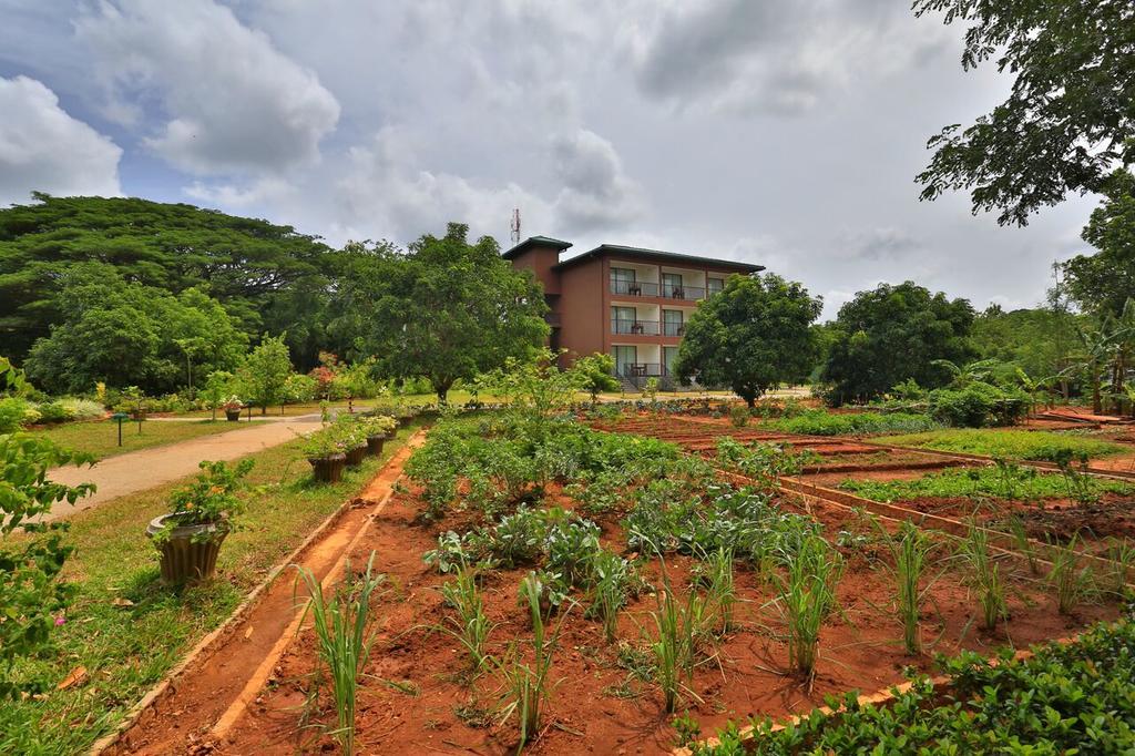 Grand & Gangula Hotel Dambulla Exterior photo