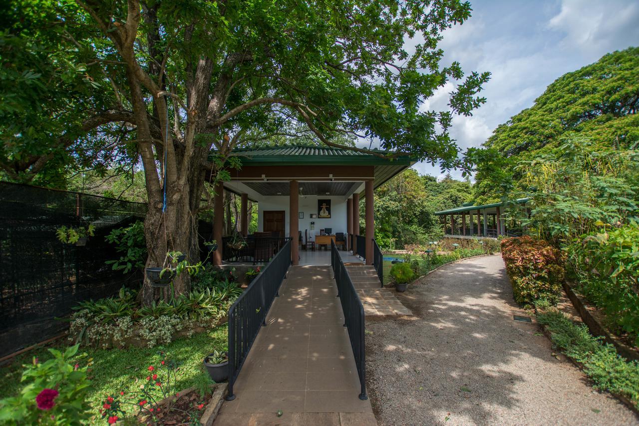 Grand & Gangula Hotel Dambulla Exterior photo