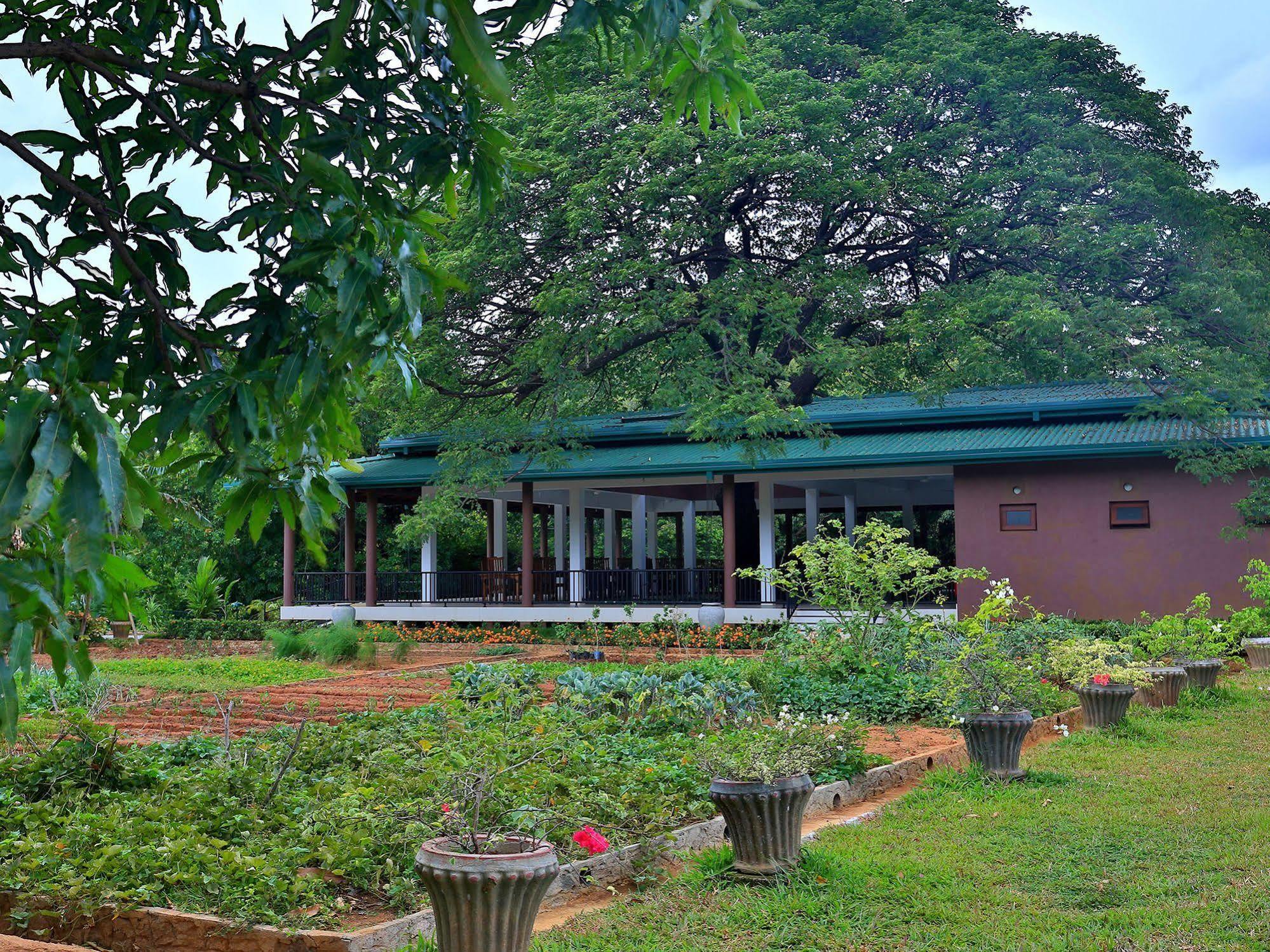 Grand & Gangula Hotel Dambulla Exterior photo