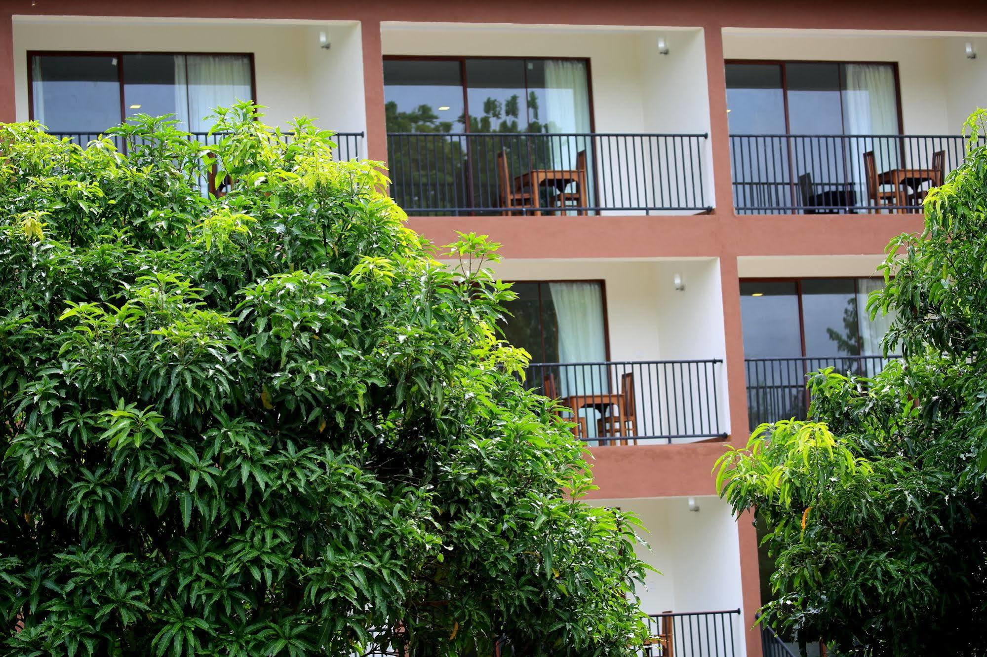 Grand & Gangula Hotel Dambulla Exterior photo