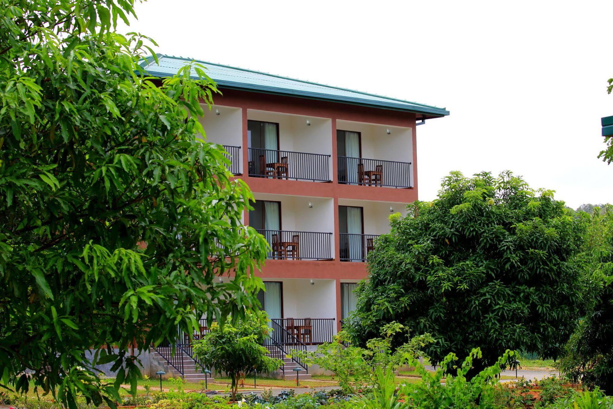 Grand & Gangula Hotel Dambulla Exterior photo
