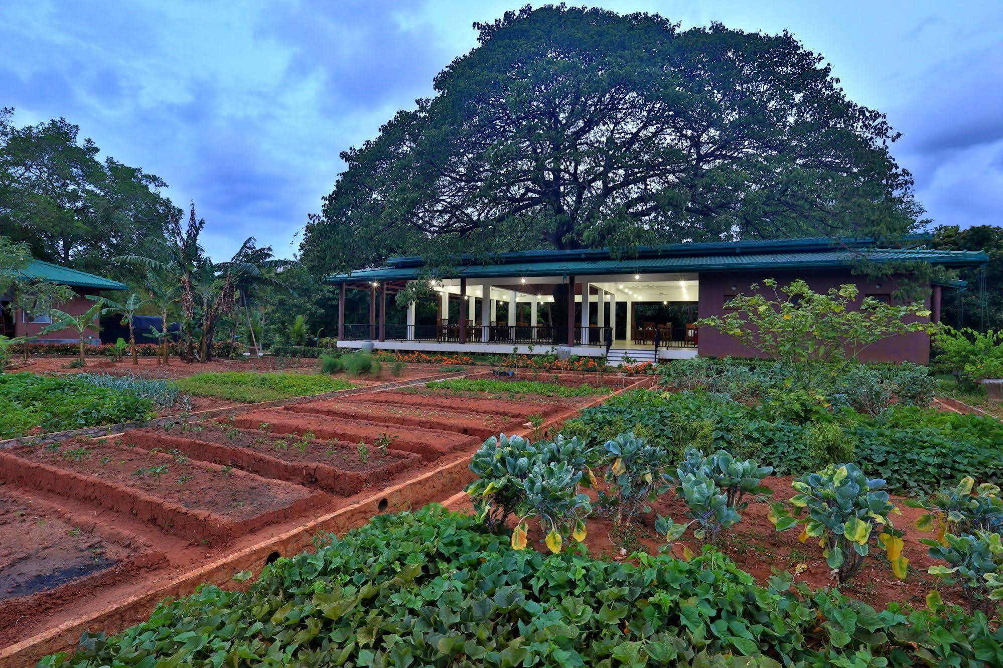 Grand & Gangula Hotel Dambulla Exterior photo
